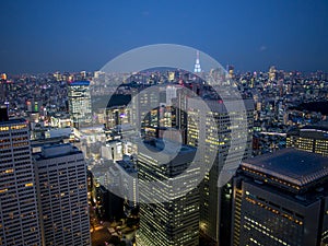 Night view of Tokyo from the Metropolitan Government Building æ±äº¬éƒ½åº, Shinjuku, Japan